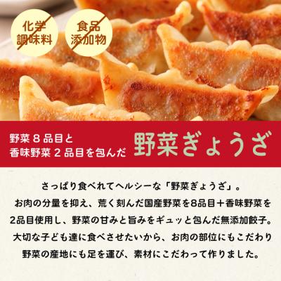 ふるさと納税 三原市 paoの無添加餃子「大地のめぐみ 野菜ぎょうざ」840g(約40個) [058-007] |  | 02