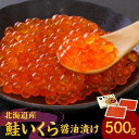 【ふるさと納税】北海道の味 旨味 新鮮 逸品 いくら 醤油漬け 500g 250g×2 秋鮭 魚卵 魚介 海鮮 手巻き寿司 ちらし寿司 冷凍 特製醤油ダレ 濃厚 旨み プチプチ 食感 いろんな食べ方 白米 大根おろし いくら丼 ちらし寿司 ギフト お取り寄せ 北海道 余市町 送料無料