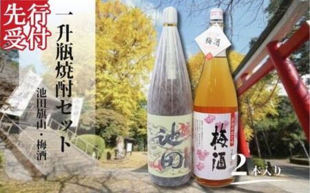 ☆先行受付☆No.1425-1　池田旗山・梅酒（一升瓶） 2本セット