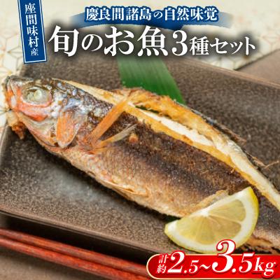 ふるさと納税 座間味村 慶良間諸島の自然味覚 旬のお魚3種セット