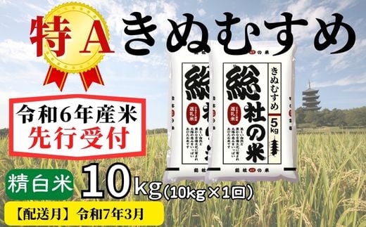 【令和6年産】特Aきぬむすめ【精白米】10kg 岡山県総社市産米〔令和7年3月配送〕24-011-017