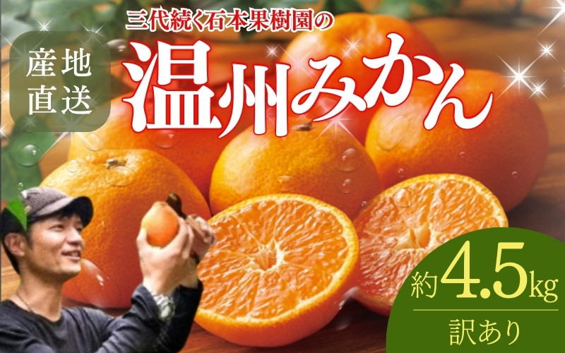 
            【先行予約】【訳あり】石本果樹園の美味しい温州みかん 約4.5kg 35～40玉前後【11月初旬から1月下旬までに順次発送】 / みかん フルーツ くだもの 果物 温州みかん
          