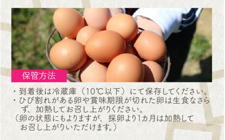 【月2回お届け】定期便 毎月数量限定！平飼い福地鶏「ふくたまご」 10個 （2パック） × 2回 [A-4934]