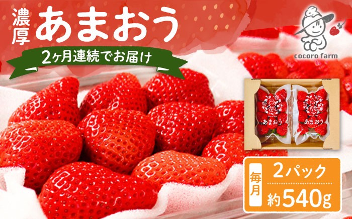 
                  【2回定期便】【2026年12月から発送】ココロファームの濃厚あまおう 540g（270g×2パック）《豊前市》【ココロファーム】[VAE033] 果物 苺 イチゴ あまおう アマオウ 定期 福岡 フルーツ いちご 先行予約 定期便
                