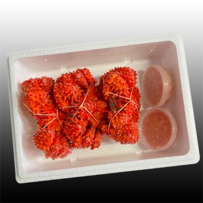 ふるさと納税 根室市 【年内配送可】花咲かに300g〜450g前後×3尾・いくら醤油漬け100g×2P C-30023 |  | 01