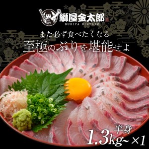 宮崎産 新海屋 鰤屋金太郎 金太郎 ぶり フィレ 1.3kg～ 半身 1枚　冷凍　N018-ZB115_2