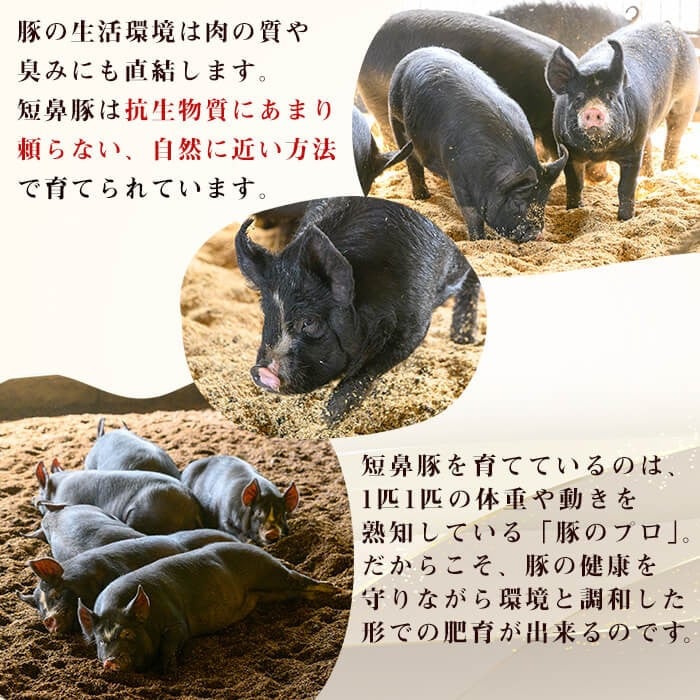 【無添加】【ギフト対応】「福別府農場」 鹿児島黒豚炭火焼豚 約200g a0-373