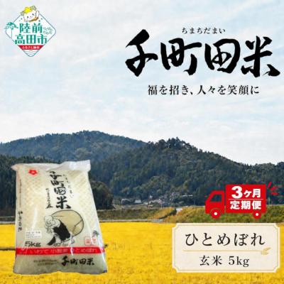 ふるさと納税 陸前高田市 先行受付 【3ヶ月定期便】 令和8年産 ひとめぼれ 玄米 5kg 千町田米 布袋様 米 お米
