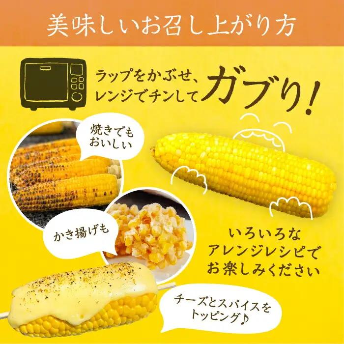 【先行予約】夜明けのスイートコーン 4kg×1箱 7-10本 [VCO001] コーン とうもろこし