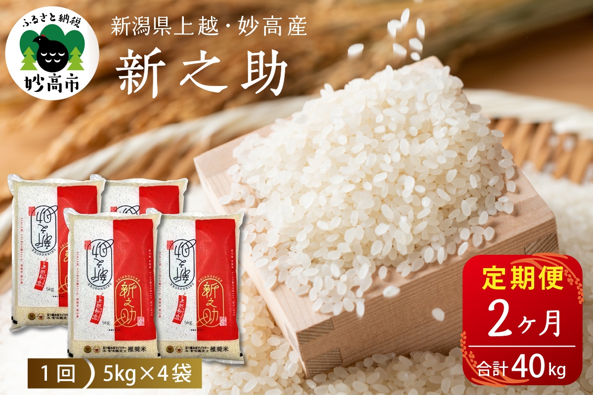
                  【定期便】令和8年産新潟県上越・妙高産新之助20kg×2回（計40kg）妙高 しんのすけ 米 新米 白米 精米 お米 ごはん ライス 大容量
                