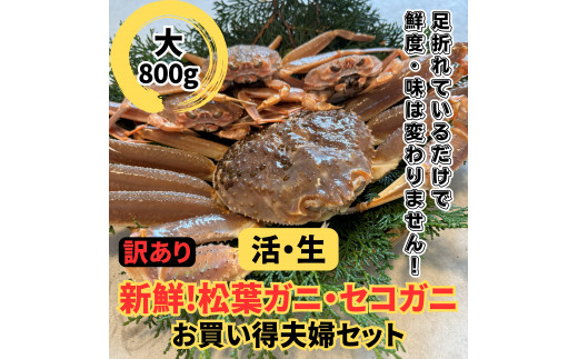 【訳あり】活！松葉ガニ・セコガニセット（大）鳥取網代港 岩美 松葉がに ズワイガニ かに カニ せこがに 親がに 日本海  ※お届けは2026年11月中旬～【さかなや新鮮組】【22020】