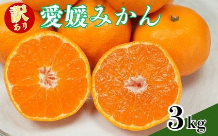 【みかん】 訳あり 愛媛みかん約3kg 青果市場