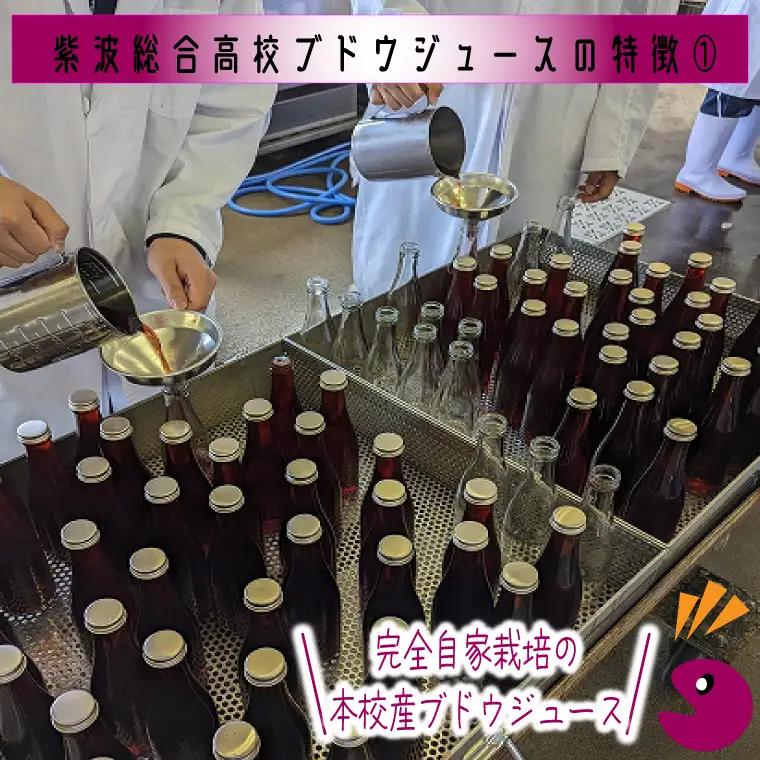 高校生が作りました！ 紫波町産ぶどうジュース 300ml 4本入り(EC002)ジュース 