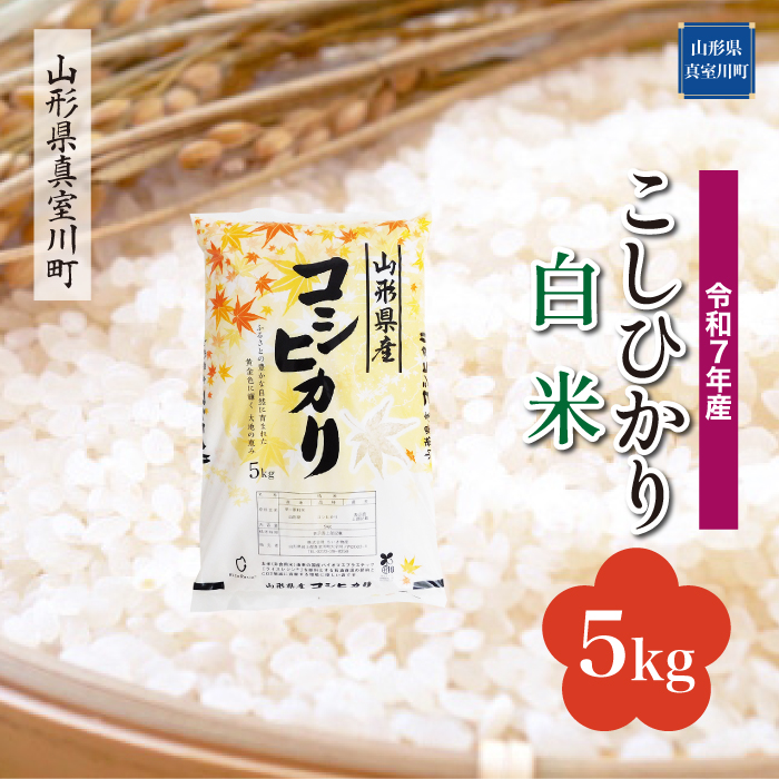 令和7年産　山形県産 こしひかり 【白米】 5kg （5kg×1袋） 数量限定　配送時期指定できます！　真室川町