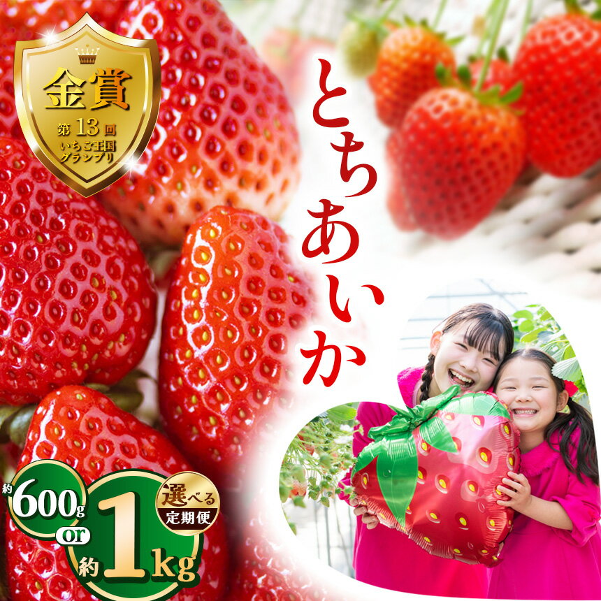【ふるさと納税】【先行予約】【選べる定期便】とちあいか約600g 1kg | 定期便 送料無料 とちあいか いちご フルーツ 甘い ジューシー苺 イチゴ ハート ハート型 ハート 断面 果物 おいしい 選べる内容量 栃木県 下野市