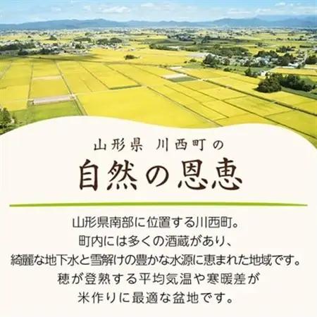 令和7年産　山形県産　つや姫　10kg_米 こめ 白米 精米 精白米 特別栽培米 つや姫 山形県 ブランド米 産地直送 人気 おすすめ 贈答 ギフト プレゼント 送料無料 お取り寄せ お米 ごはん_【