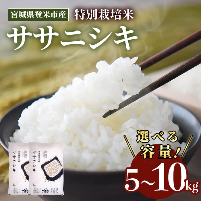 【ふるさと納税】≪令和7年産≫ 特別栽培米 ササニシキ 5kg〜10kg 選べる容量 登米市産 お米 おこめ 米 コメ ささにしき 白米 ご飯 ごはん おにぎり お弁当 【登米ライスサービス株式会社】tm156・tm157