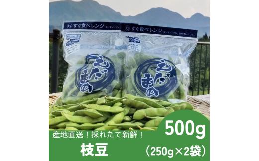 採れたて新鮮！！高山村の名産枝豆　５００ｇ