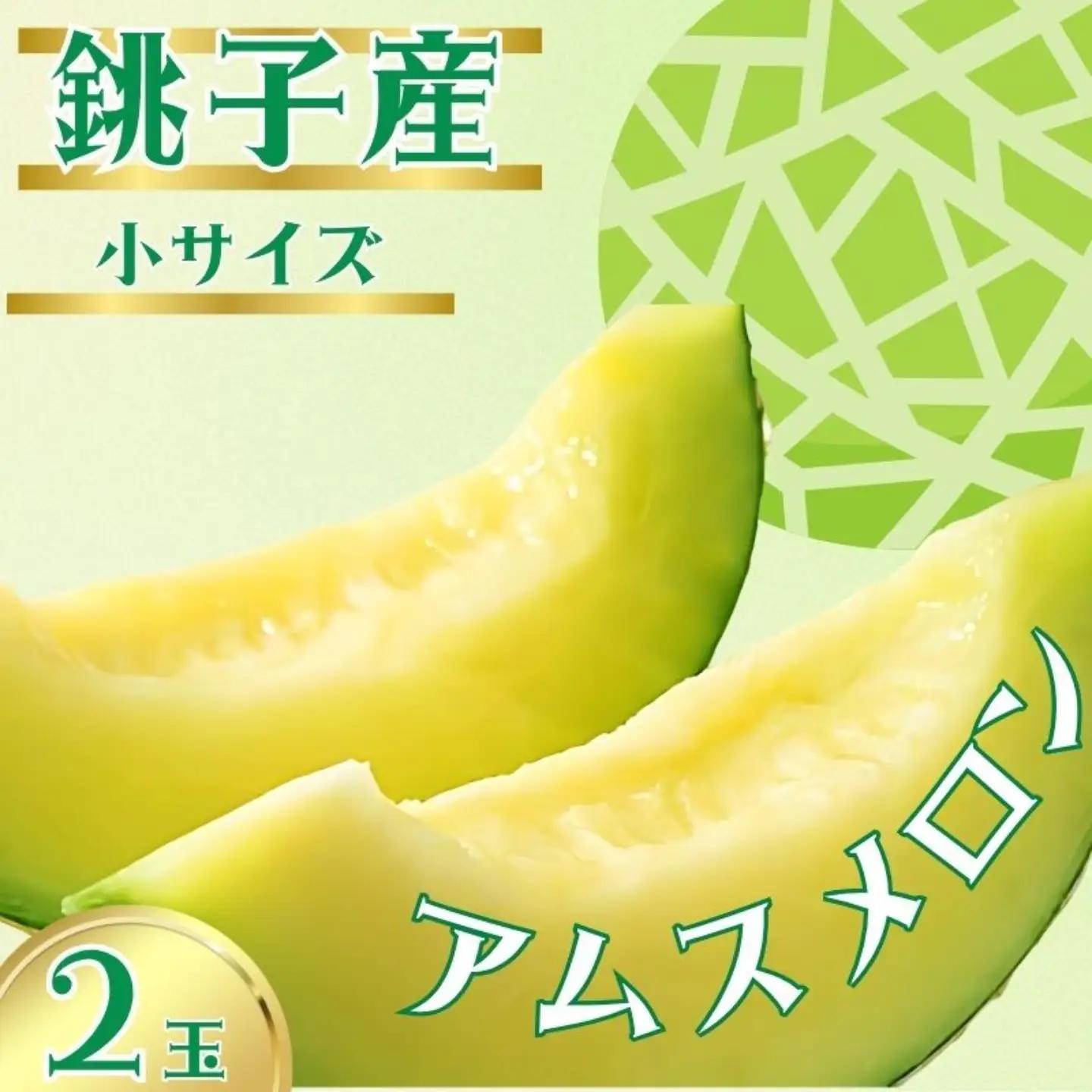 アムスメロン 2玉 メロン 【6月下旬～7月中旬発送】