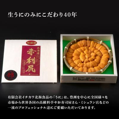 ふるさと納税 千歳市 【2025年6月より発送】赤利尻 生うに 花籠盛「錦」 ウニ バフンウニ |  | 02