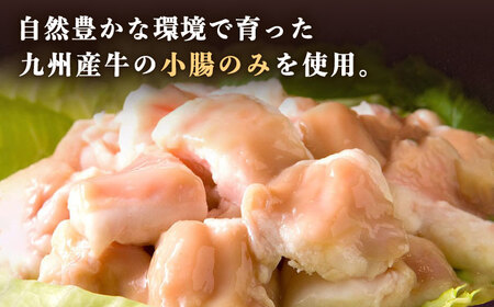 国産 ・ 完全 無添加 もつ鍋 セット ( 約 2人前 ) 白みそ味 糸島市 / 博多 浜や [AFF001] もつ鍋セット 福岡県