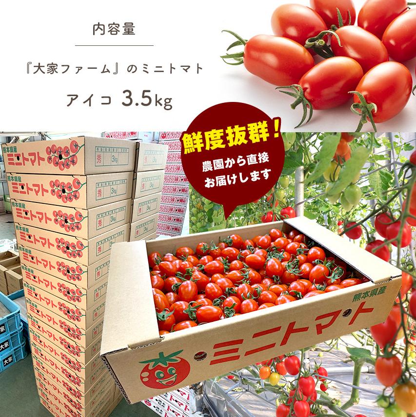 『大家ファーム』のミニトマト アイコ 3.5kg 熊本県玉名