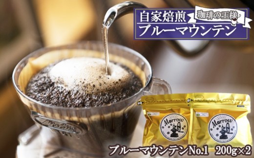 珈琲 自家焙煎 Morrow珈琲 “コーヒーの王様” ブルーマウンテン ストレート 200g×2：粉