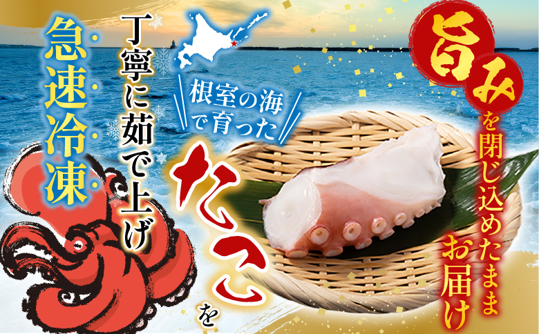 【北海道根室産】お刺身用たこ足2本(計2～2.5kg) C-76027