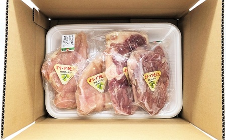 オリーブ地鶏　モモ肉 500g & ムネ肉500g セット 合計約１kg