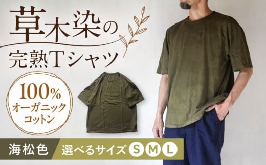オーガニックコットン 完熟Tシャツ　【海松色】 (S/M/L) / オーガニック コットン 綿100　手染め 草木染め Ｔシャツ 半袖 トップス ファッション インナー 女性用 レディース 男性用 メンズ ユニセックス 男女兼用 ギフト 贈答 プレゼント / 大村市 / ISTIST [ACZW060]