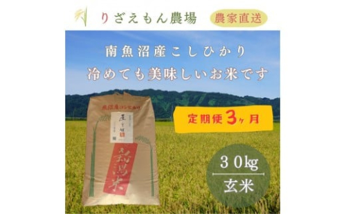 【定期便3回×玄米３０kg《合計９０kg》】令和７年産　南魚沼産コシヒカリ　玄米 ３０kg　＼生産農家直送／