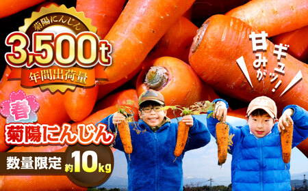 【4月中旬より順次発送予定】【数量限定】菊陽町の春にんじん 約10kg【有限会社さんふれあ】[BHAK004]