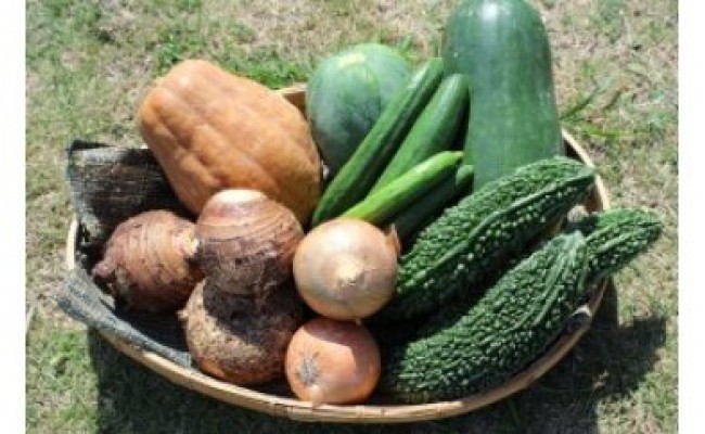 
沖縄県東村　旬の野菜セット1
