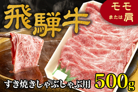 飛騨牛お任せ！モモ肉or肩肉500g FN-Limited-SP