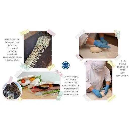 【定期便3】キタノカオリ小麦のカンパーニュ2本セットを3カ月連続お届け【24023】