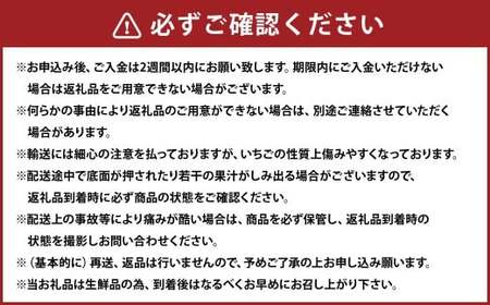 大粒あまおう 2パック 合計500～540g  【2027年2月上旬～4月下旬発送予定】 あまおう 苺 いちご 果物 果実 フルーツ 大粒 国産 九州 福岡県 香春町 冷蔵