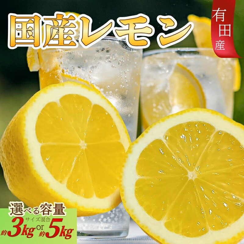 【ふるさと納税】 有田産の安心国産レモン 約3kg 約5kg （サイズ混合）【2026年10月中旬〜2027年4月中旬頃より順次発送】【TM15】