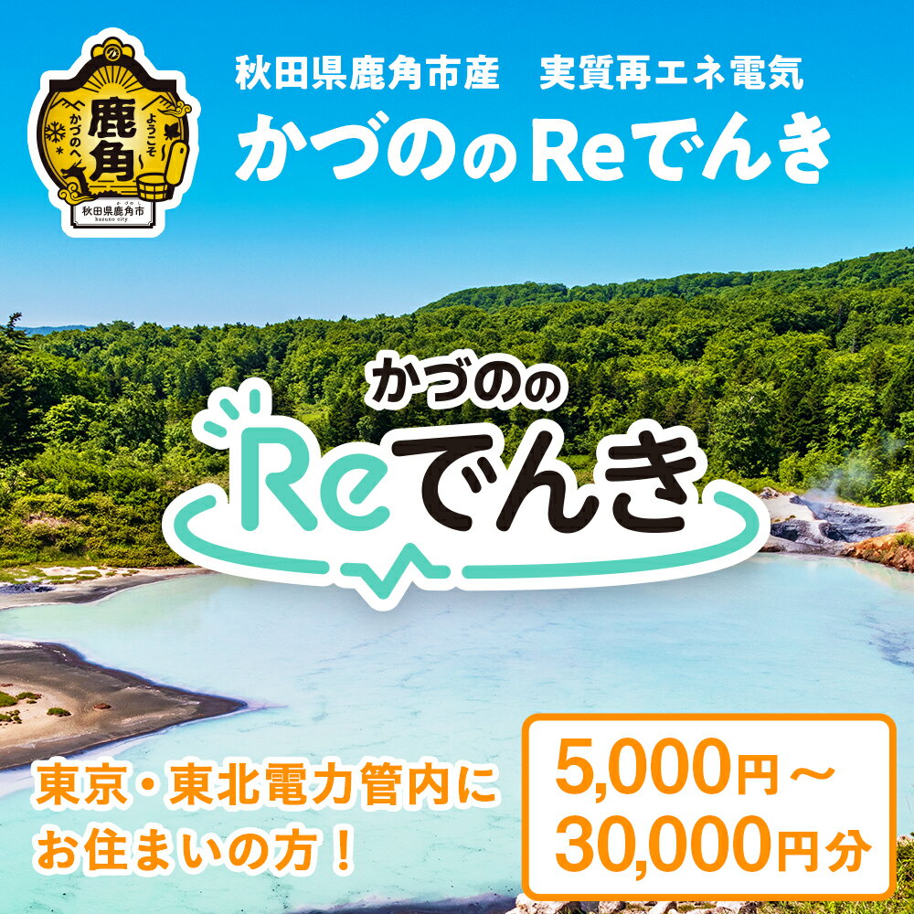 【ふるさと納税】《地域限定》かづののReでんき 5,000円～30,000円分 秋田県 鹿角市産 電気 東京電力 / 東北電力 管内にお住まいの方限定 電力 料金 家計 東電 東北電 エコ 脱炭素 秋田 鹿角市 送料無料 【かづのパワー】