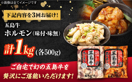 【3回定期便】幻の五島牛ホルモン 1kg 味付け有り・無しセット 五島市/ごとう農業協同組合[PAF094]