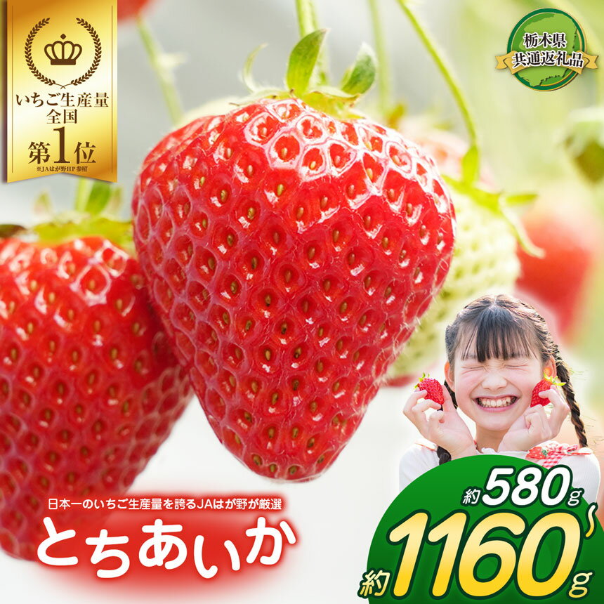 【ふるさと納税】290g×2～6P 日本一のいちご生産量を誇るJAはが野が厳選 とちあいか｜ふるさと納税 いちご とちあいか 甘い 美味しい 果物 共通返礼品 フルーツ デザート 栃木県 那珂川町 送料無料