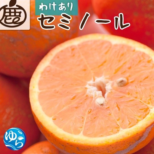 
                  セミノールオレンジ 家庭用 2.5kg+250g（傷み補償分）【ikd016-c-2d5】
                