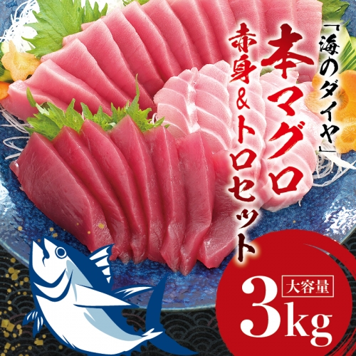 プレミア和歌山認証品 本マグロ（養殖）トロ＆赤身セット　3kg 【1ヶ月以内に発送】まぐろ 刺身 鮪 本鮪 クロマグロ 赤身 中とろ 大トロ 大容量 まぐろたたき まぐろ丼