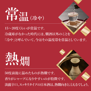 吟のさと 純米吟醸 光樹 300ml×2本