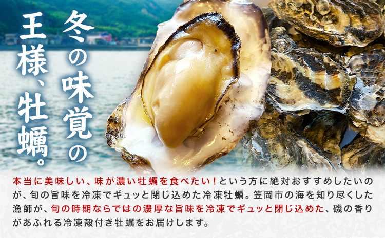 笠岡産 冷凍殻付き牡蠣 加熱用 2kg 30～40粒 《30日以内に出荷予定(土日祝除く)》岡山県 笠岡市 かき カキ 牡蠣 生牡蠣 瀬戸内海産 殻付き 冷凍