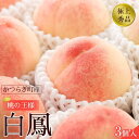 【ふるさと納税】先行販売！【モモ】 白鳳　桃の王様！食べきりやすい3個入り【2025年6月下旬頃より順次発送】【秀品】こだわり農家厳選 【KG17】 | も フルーツ 果物 くだもの 食品 人気 おすすめ 送料無料