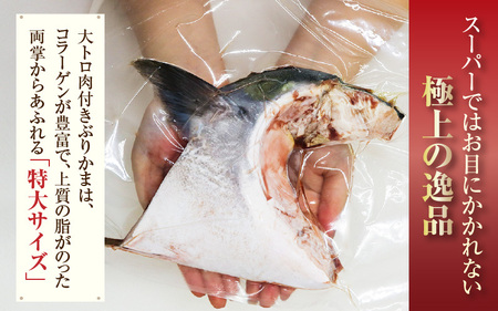 天然 ぶり 特大 ブリカマ (塩焼き用) 約1kg (約500g × 2パック) 美浜町日向産【希少 切身 かま 肉厚 コラーゲン 塩焼き 魚介類 魚貝類 新鮮 冷凍 凍眠】 [m36-a016]