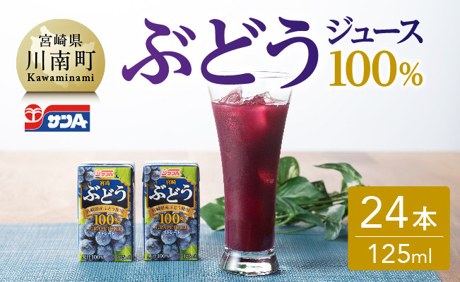 
サンA ぶどう ジュース 100％ 紙パック (125ml×24本)【飲料 ジュース ストレート グレープ ブドウジュース 葡萄 PET セット 着色料・保存料不使用 長期保存 備蓄】
