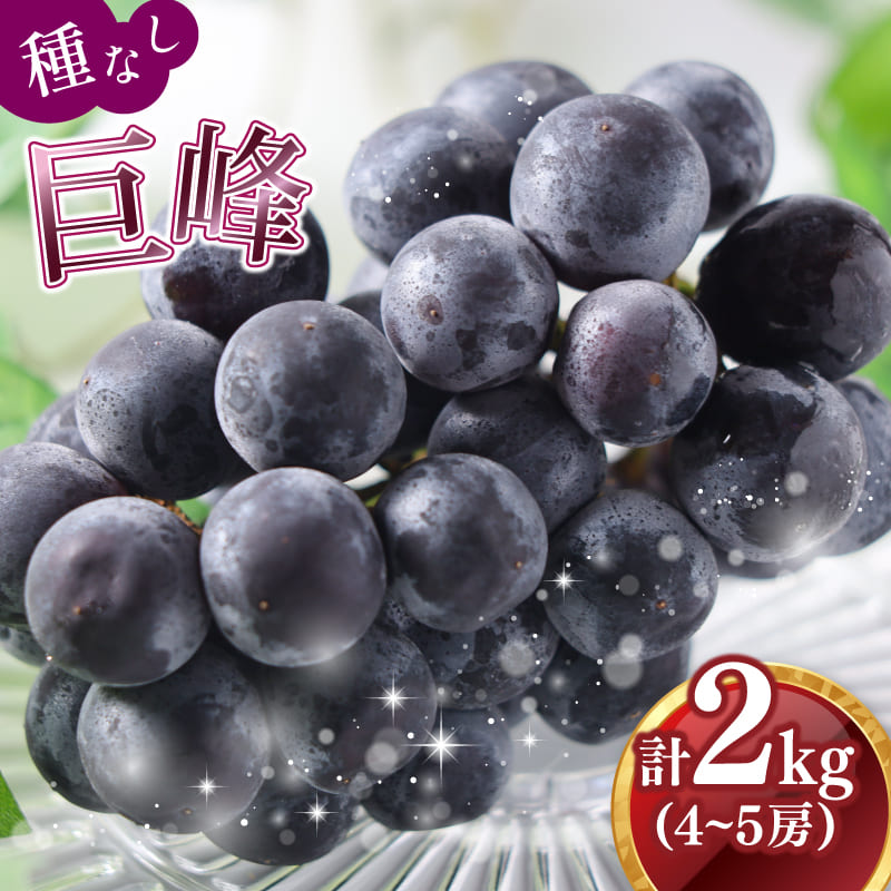 【ふるさと納税】【2025年8月中旬から発送】 種なし巨峰2kg（ 川崎町産 ）ブドウ ぶどう 果物 フルーツ デザート スイーツ 果樹園 国産 新鮮くだもの フルーツ 葡萄 朝採れ 産地直送 ご家庭 贈答 人気 ギフト 贈答 先行予約 旬 数量限定 お中元 お盆 帰省 福岡県 川崎町