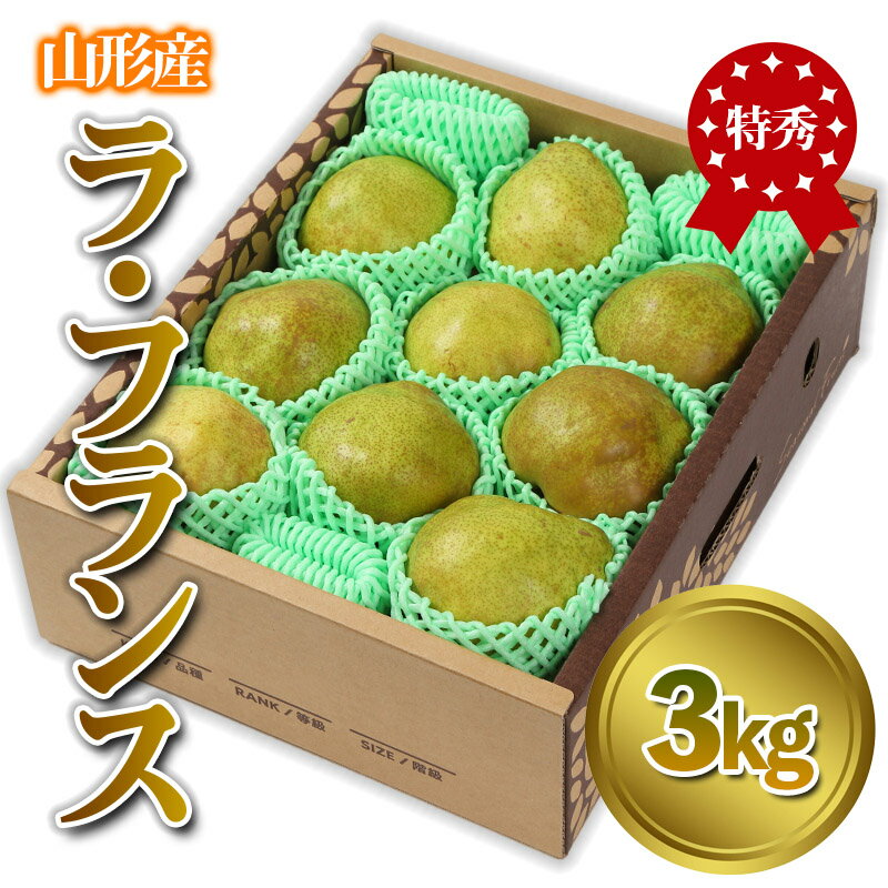 【ふるさと納税】山形産 「ラ・フランス」 特秀品 3kg (8〜13玉)【令和8年産先行予約】FS24-086