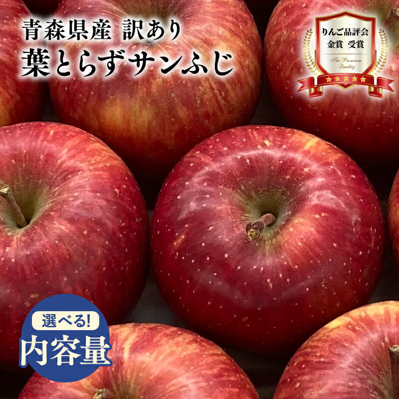 【ふるさと納税】≪内容量が選べる≫青森県産 訳あり 葉とらず サンふじ 約3kg 約5kg【青森県 平川市 岩渕農園】1月〜3月発送 青森 青森県産 平川 りんご リンゴ 林檎 くだもの 果物 フルーツ レビューキャンペーン